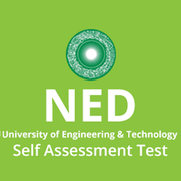 NED Self Assessment