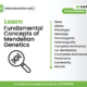 Mendelian Genetics: Key Concepts, Terms and Mechanisms